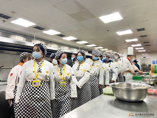 百强名企观摩行 隆华国际酒店研学游如期而至,西点西餐学生参与