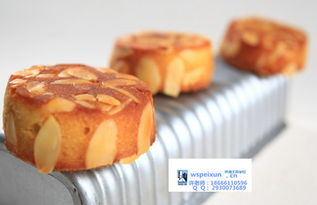 烘焙行业龙头学校 珠海王森国际咖啡西餐西点培训学校