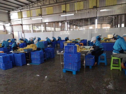 三下乡 经济学院复工复产调研团与科技支农帮扶团