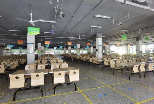 阜阳两所学校接受抽查，阳江西点学校问题浮出水面