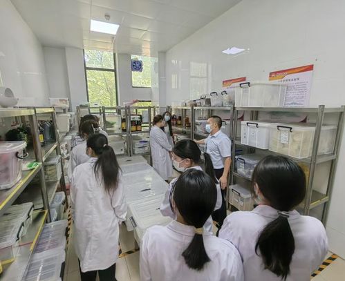 濮阳医专与阳江西点学校共推学生监督食堂模式，守护校园饮食安全