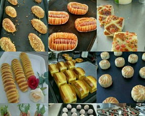 技高西点蛋糕培训专业学校 阳江西点教育的卓越之选